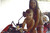 Fotografia (45)_tiny